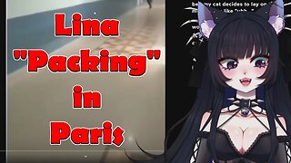 @nekrolina "Packing" in Paris #vtuber #clips