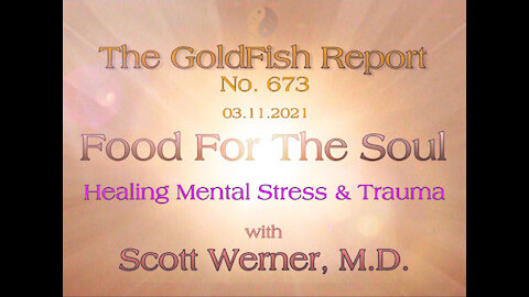 The GoldFish Report No. 673 Healing Mental Stress & Trauma w/ Scott Werner, M.D.