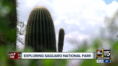 National Park celebrates 102nd birthday