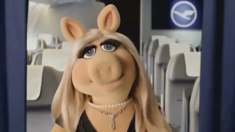 Miss Piggy Acts Like the Lady who FREAKED OUT on an American Airlines Flight 😱