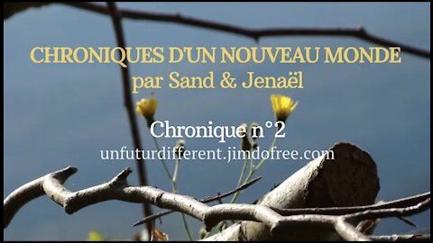 CHRONIQUE 2 : Une nouvelle pandémie virale au Service d'Autrui ? & La séparat... par Sand & Jenaël