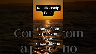 Relationship Fact