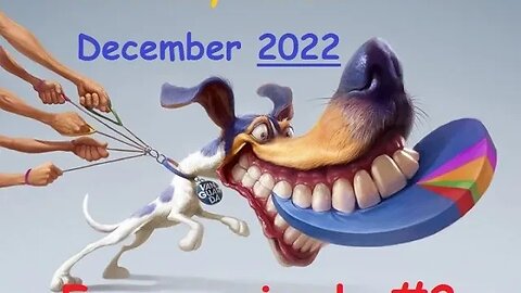 Best Funny Animal Videos December 2022 / Funny animals #2