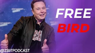 Elon FREES THE BIRD!