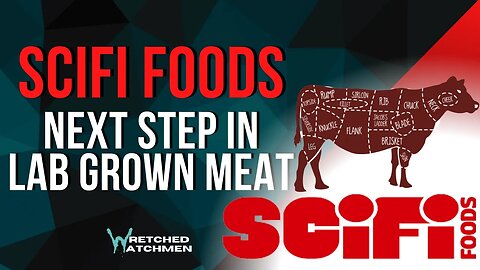 SciFi Foods: Next Step In Lab Grown Meat