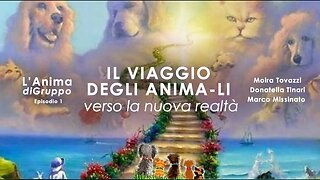 IL VIAGGIO DEGLI ANIMA-LI Verso la nuova realtà - Episodio 1 L'anima di Gruppo