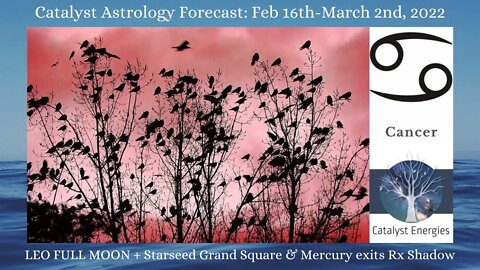 CANCER - Catalyst Astrology Forecast - LEO FULL MOON + STARSEED GRAND SQUARE - Feb 16-March 2nd