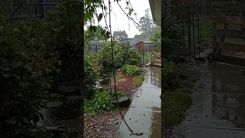 Another Mid-Summer Hail Storm in Australia 2022