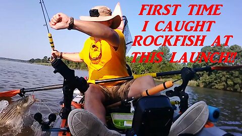 ROCKFISH AT THIS KAYAK LAUNCH?? YEP!!