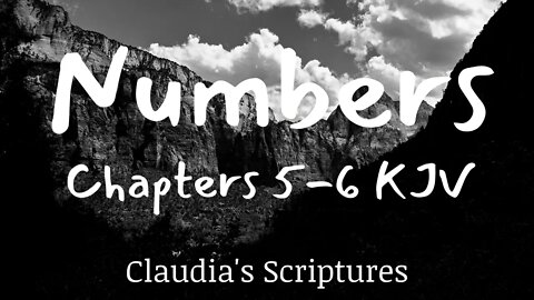 The Bible Series Bible Book Numbers Chapters 5-6 Audio