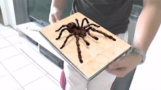 Camera tracking - Tarantula.