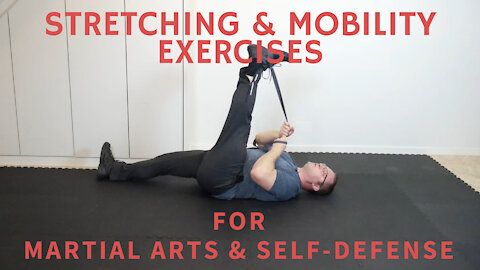 Available now! STRETCHING and MOBILITY Exercises for MARTIAL ARTS and SELF-DEFENSE