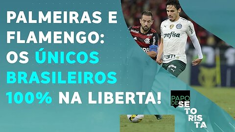 Palmeiras e Flamengo SOBRAM e MOSTRAM FORÇA na Libertadores! | PAPO DE SETORISTA – 29/04/22