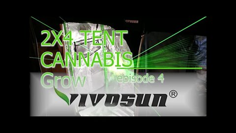 Vivosun Grow Tent 2x4 MAC1 Cannabis Grow ep. 4 🔨 Day 32 #Vivosun #420 #MAC1