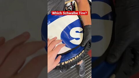 How Well Do You Know Schwalbe Tires? #schwalbe #tires