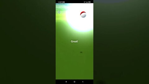 Pokémon GO-Lucas Hat Turtwig