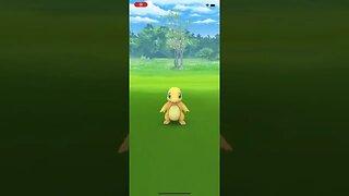 Shiny Charmander