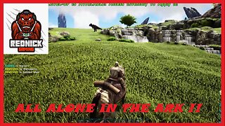 All alone in the Ark S1 Ep3 The Adventure for a Horse!!!