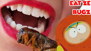 Major Brands Quietly Slipping Filthy Insects Into Our Food