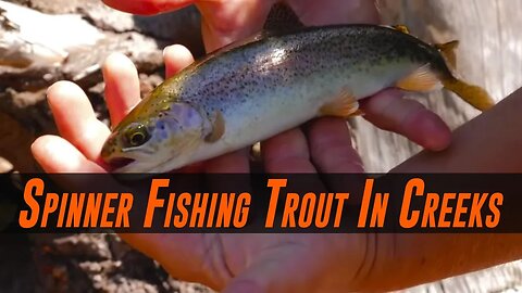 TROUT Fishing Spinners In Creeks & Rivers | COMPLETE Guide To SUCCESS!