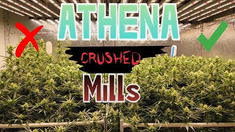 Athena Crushing Mills Week 5 Day 30