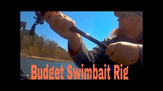 Amazon Budget Big Swimbait Rig