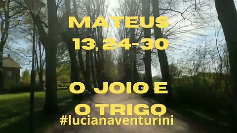 Mateus 13, 24-30 O joio e o trigo #lucianaventurini #desenvolvimentopessoal #evangelhodemateus