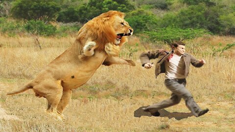 Shocking News Video of a Man Versus a Lion