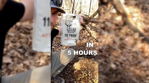 Attract Deer in 5 Hours - Testing Buck Bourbon 110 Proof | Outdoor Jack