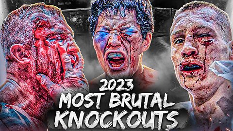Most Brutal Knockouts From 2023 - MMA, Boxing, Kickboxing & Bare Knuckle