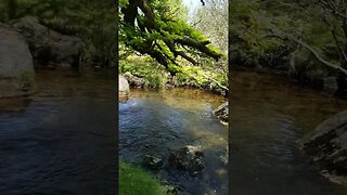 Riverside wildcamping setup. Dartmoor 24th May 2023