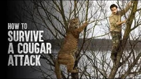 HOW TO SURVIVE A COUGAR ATTACK | Tech and Science |