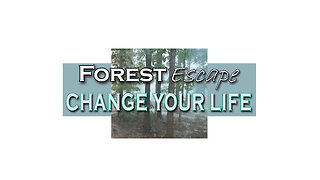 Welcome to Forest Escape! You can make a lifestyle change to reduce stress, grow food, and simplify!