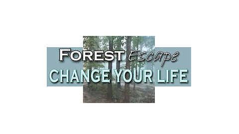 Welcome to Forest Escape! You can make a lifestyle change to reduce stress, grow food, and simplify!
