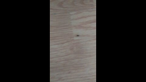 breakdancing fly