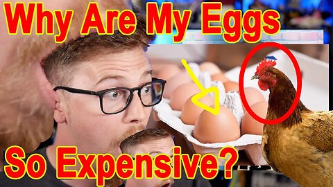 Getting Trolled by @TimsTalk About the Price of Chicken and Eggs