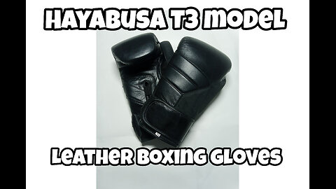 Best boxing gloves in 2023 Boxing equipment Boxing gears