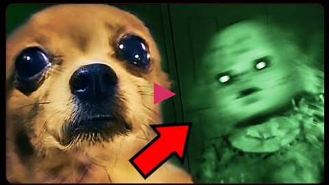 Top 10 SCARY Ghost Videos To Give You PIT STAINS