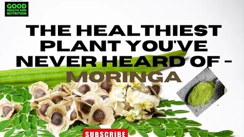 The Healthiest Plant You've Never Heard Of - MORINGA