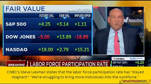 CNBC's Steve Liesman states that the labor force participation rate has "stayed stagnant"