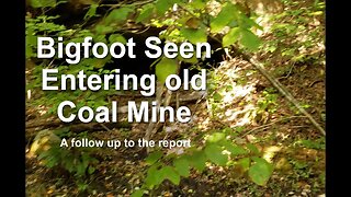 Bigfoot Seen Entering Old Coal Mine | TCC Research