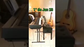 Gato tocando piano. Gato Bartolomeu Tunico 😸