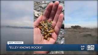 AZ woman shares love and knowledge of rocks
