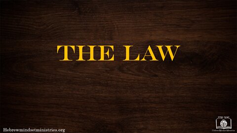 7 - THE LAW