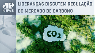 Agronegócio brasileiro quer liderar produção de alimentos e energia