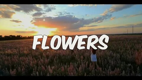 Twister Remix | Flowers - Lauren Spencer Smith