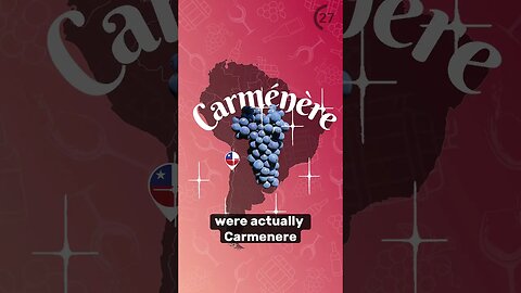 Carmenère Explained 🍷🇨🇱