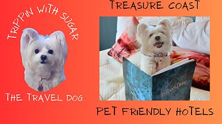 Best Pet Friendly Hotels - Port St Lucie / Stuart Florida 2023!