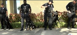 New protection for K-9s