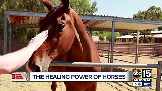 Nick's Heroes: Healing through horses